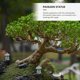 thumbnail image 1 of SWETRACE 4Ud Estatua Pabellón Pequeño Para De Jardín Y, 1 of 7