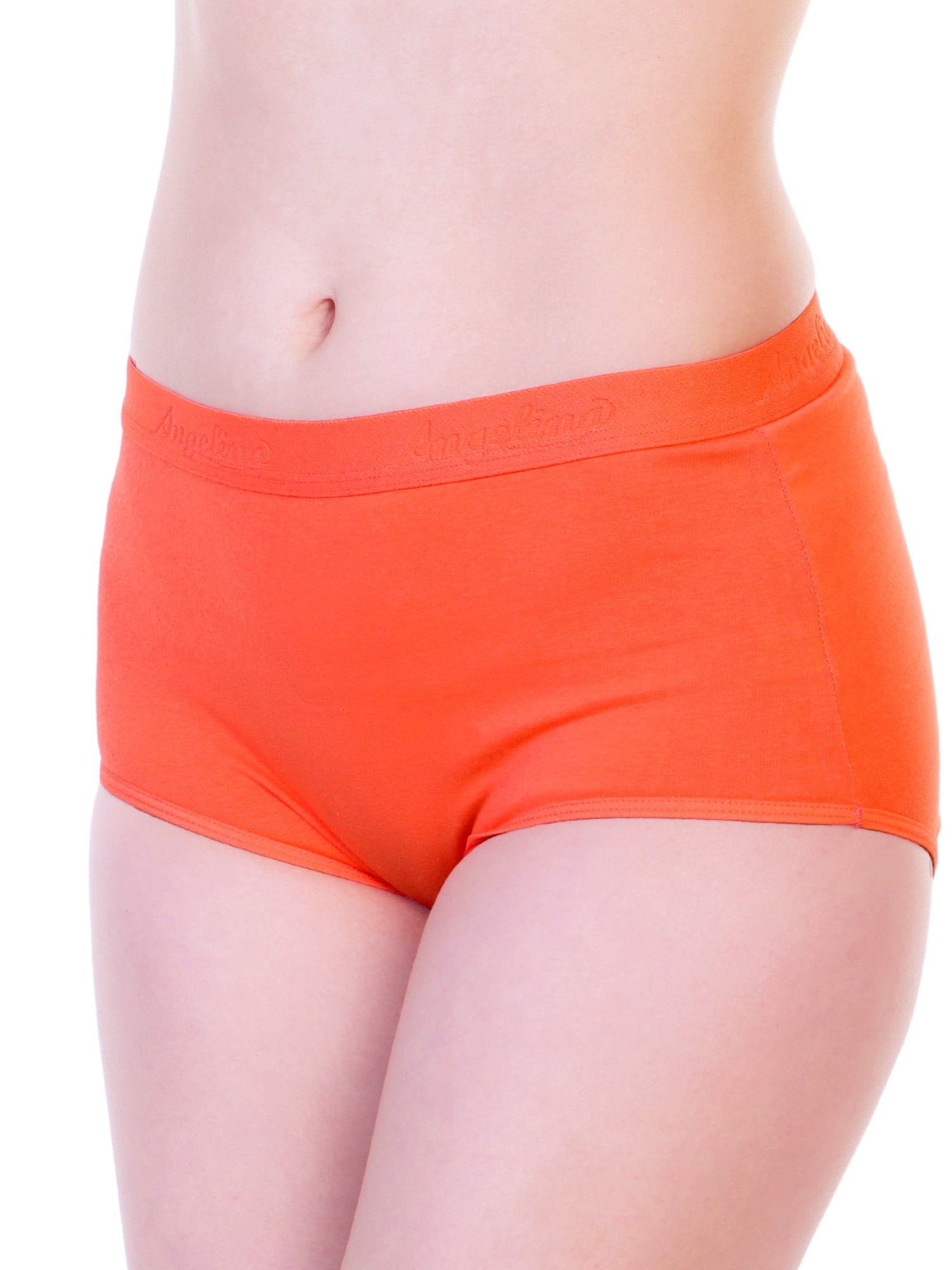 Angelina Cotton High Waist Panties with Elastic Waistband (6Pack)