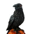 thumbnail image 4 of Way to celebrate! LED Lighted Crow Standing on Pumpkin, 4 of 4