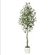 thumbnail image 1 of Yeshouse Olivo artificial de imitación para interior con macetero blanco, hojas verdes y frutos grandes, ideal para decorar hogar, oficina, sala de estar y dormitorio, 1 of 7