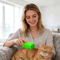 thumbnail image 4 of Carpet Detail Four Interior Vacuum Silicone Cleaning Carpet Details Hair Hair Remover, 4 of 6