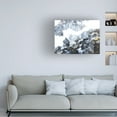 thumbnail image 4 of Canvas Wall Art - Jean Plout 'Mystical Black Pouring' Wall Art for Living Room, Bedroom, or Office Décor by Trademark Fine Art - 24 x 18 Inches, 4 of 4