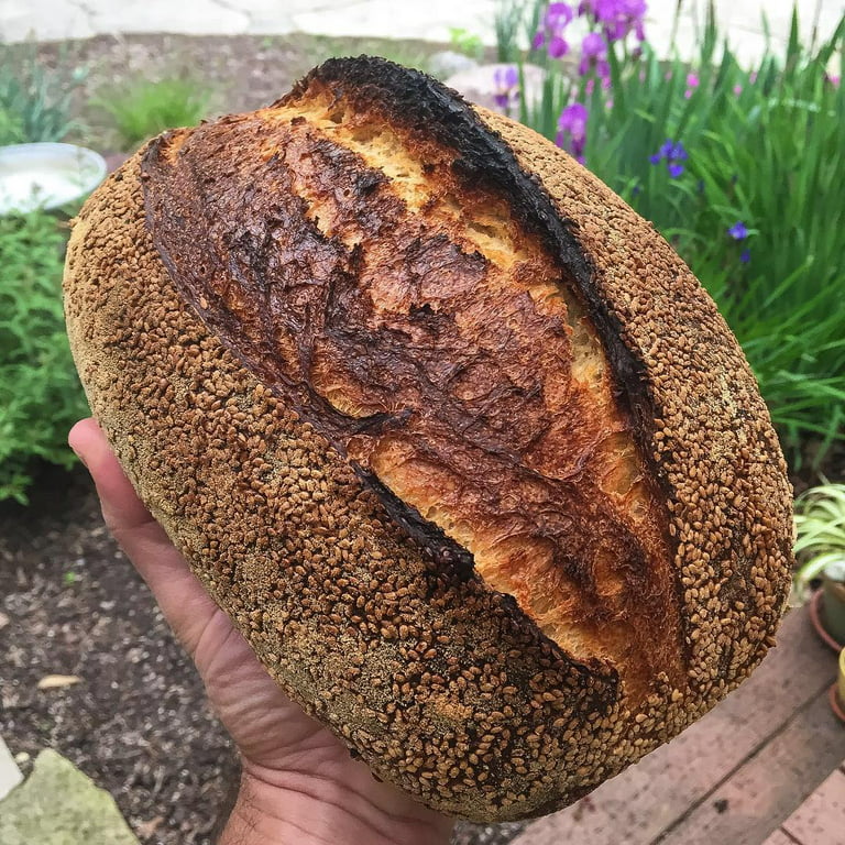 Clay Bread Baker -PRE-ORDER