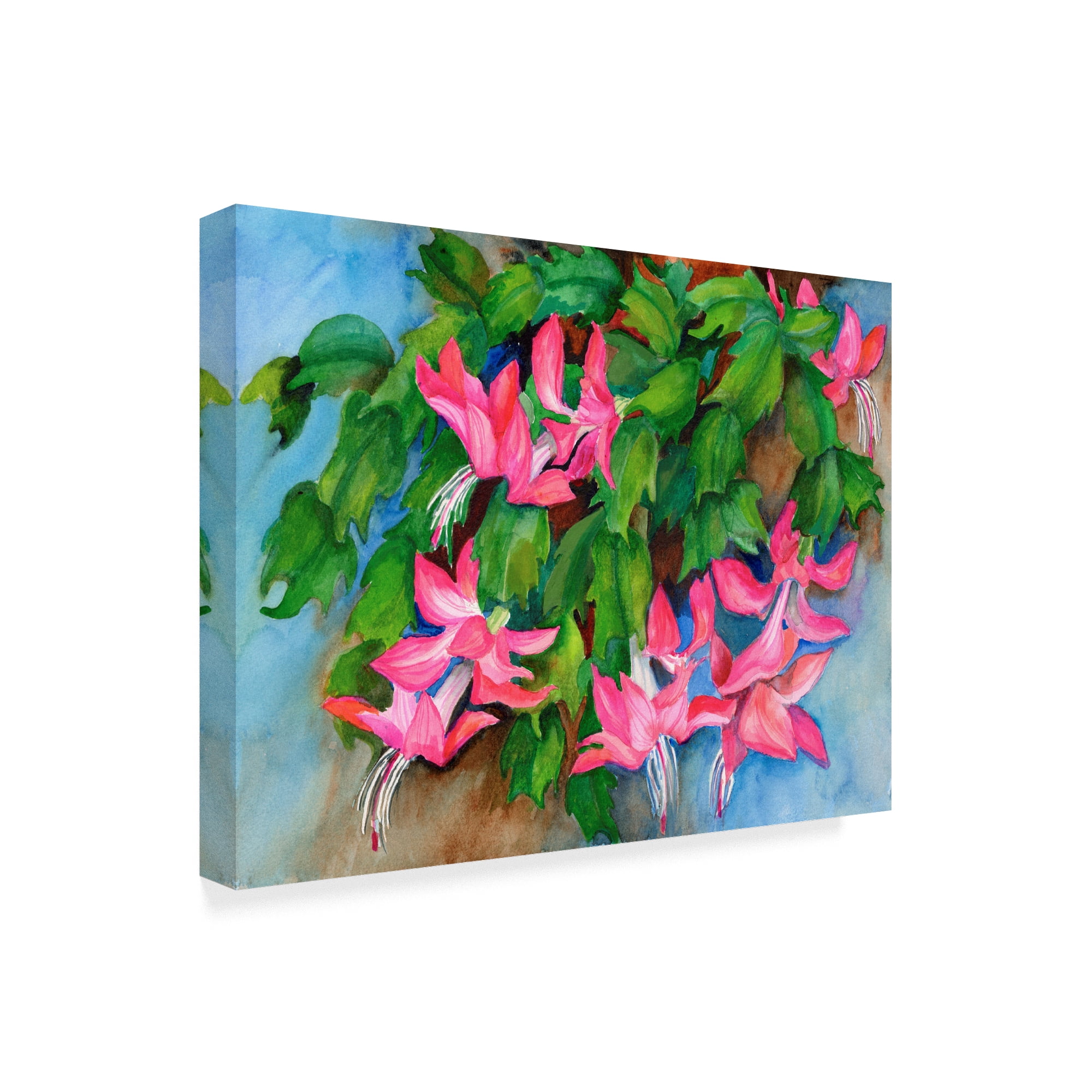 Trademark Fine Art 'Christmas Cactus' Canvas Art by Joanne Porter