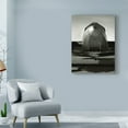 thumbnail image 3 of Trademark Fine Art 'Vintage Flight II' Canvas Art by Ethan Harper, 3 of 4