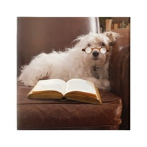 Stupell Industries White Dog Reading Book Animals & Insects Painting Gallery Wrapped Canvas Print Wall Art, 24 x 24