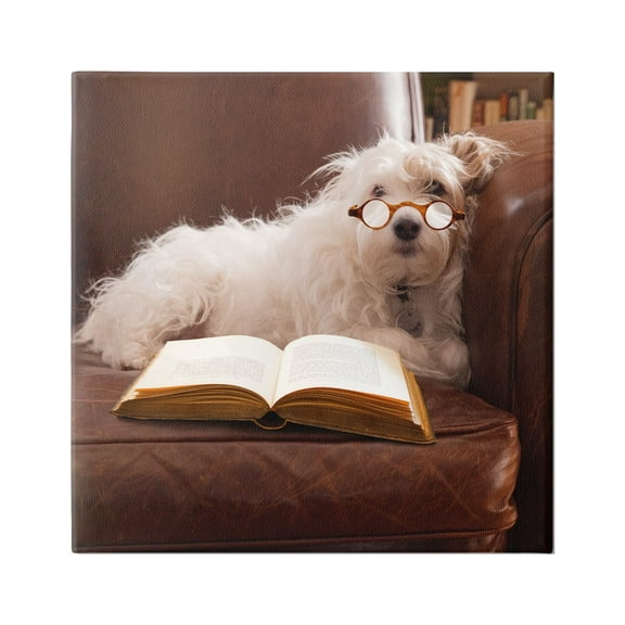 Stupell Industries White Dog Reading Book Animals & Insects Painting Gallery Wrapped Canvas Print Wall Art, 24 x 24