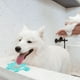 thumbnail image 5 of Almohadillas para lamer perros para aliviar la ansiedad y el aburrimiento, perfectas para alimentos, golosinas, yogur, mantequilla de maní, 5 of 5