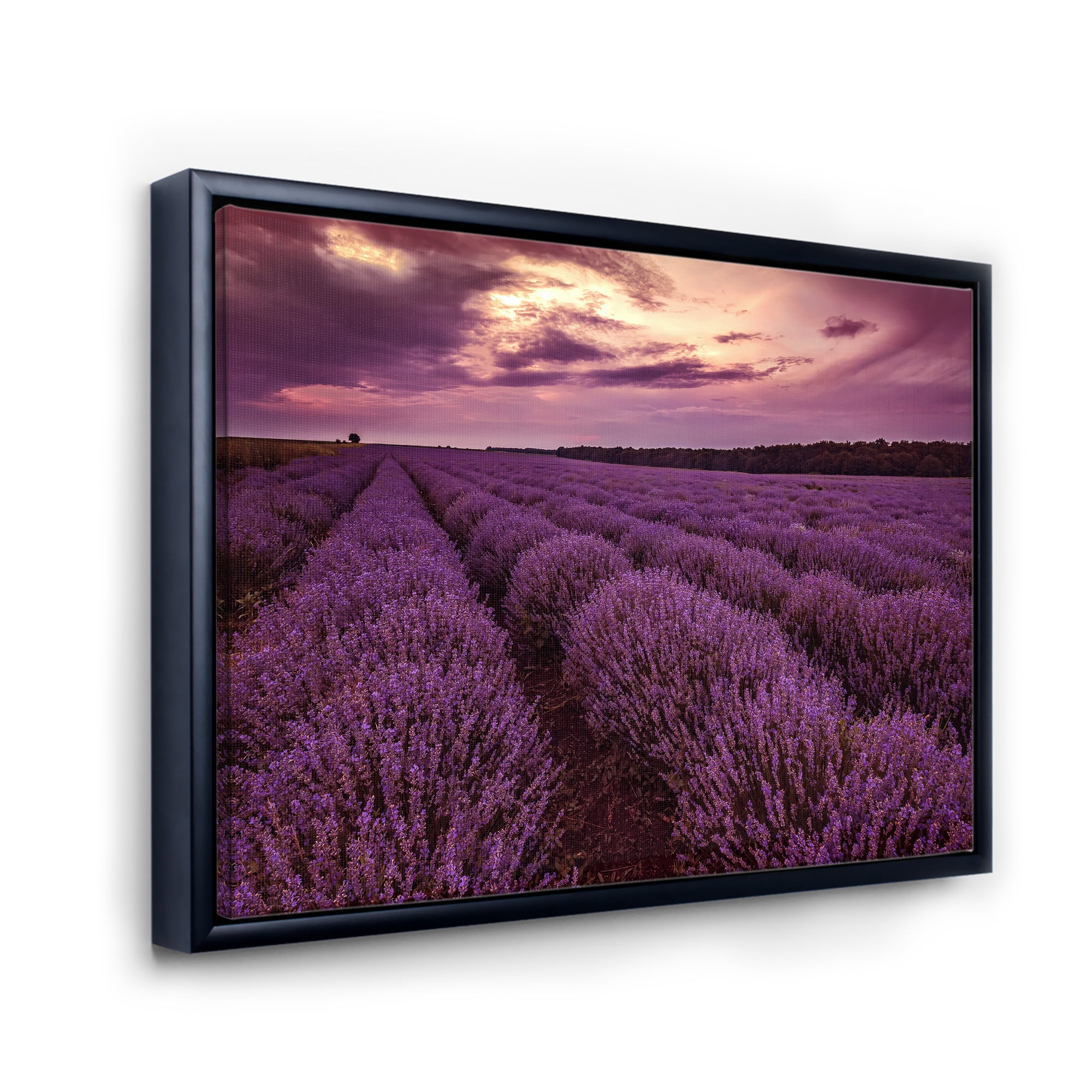 Designart 'Dramatic Clouds and Sunrise Over Lavender Field III' Farmhouse Framed Canvas Wall Art Print