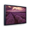 thumbnail image 3 of Designart 'Dramatic Clouds and Sunrise Over Lavender Field III' Farmhouse Framed Canvas Wall Art Print, 3 of 5