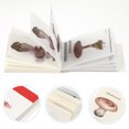 thumbnail image 3 of 2 Ensembles de Papiers Décoratifs pour Notes, 3 of 8