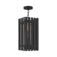 thumbnail image 2 of 20757-04 Livex Lighting Greenwich - 1 Light Outdoor Pendant Lantern in Industrial Style - 8 Inches wide by 18 Inches high-Black/Satin Brass Finish, 2 of 10