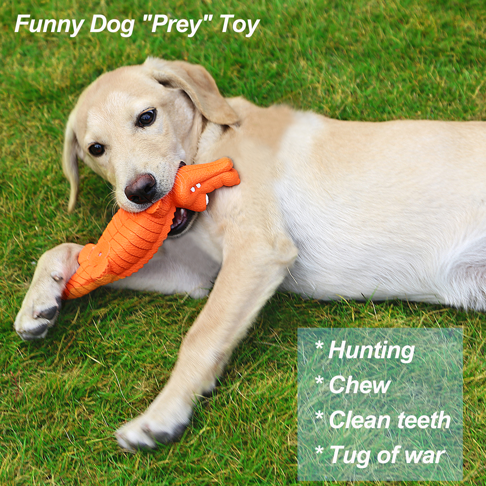 Pet Deluxe Squeaky Crocodile Dog Toy, Orange, Large photo 7