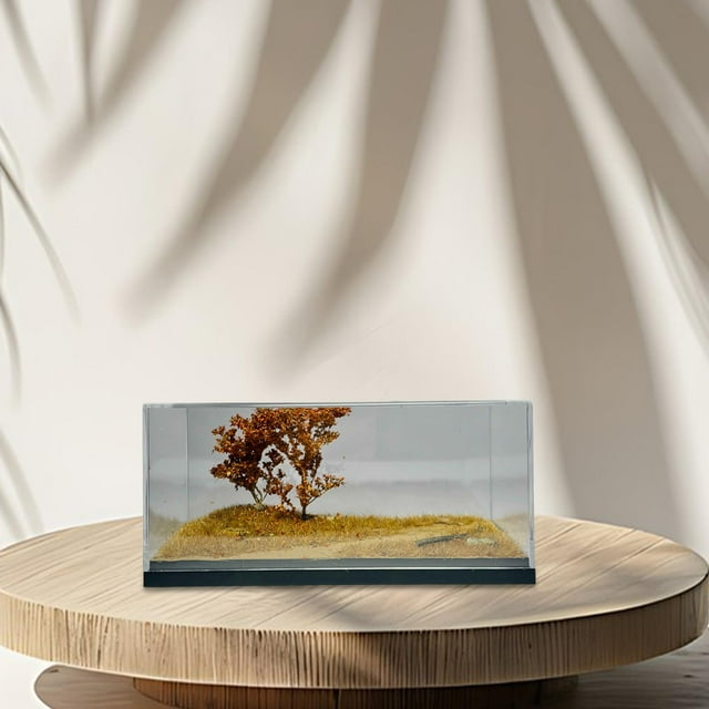 Vitrina de coche fundido a presión a escala 1/64, vitrina coleccionable a prueba de polvo, escena de otoño profundo, caja de exhibición transparente