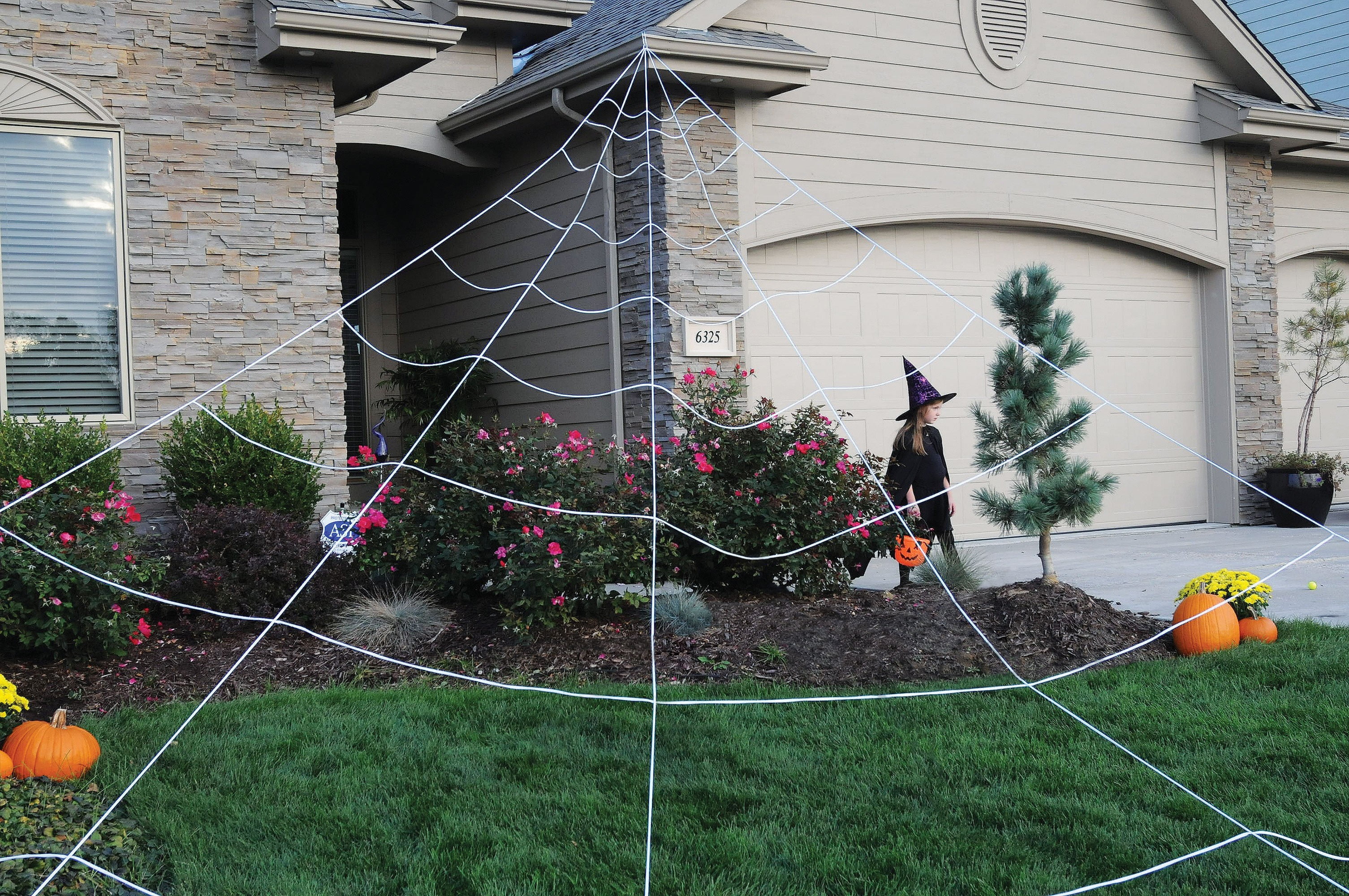 outdoor spider web decoration