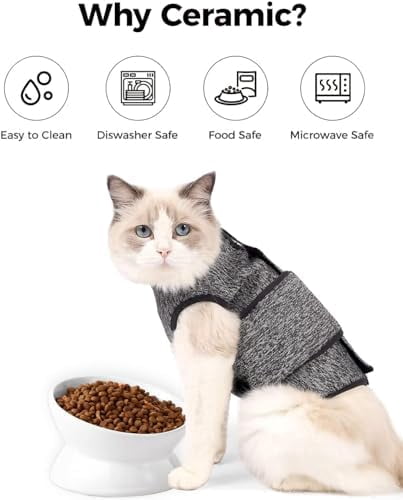 Elevated Cat Food Bowl, 5 Oz Ceramic Raised and Tilted Water Bowl, Anti Vomiting and Protect Pets' Spines Dishes for Small Dog, Fat Faced Cat, Kitten (White, 10 OZ)