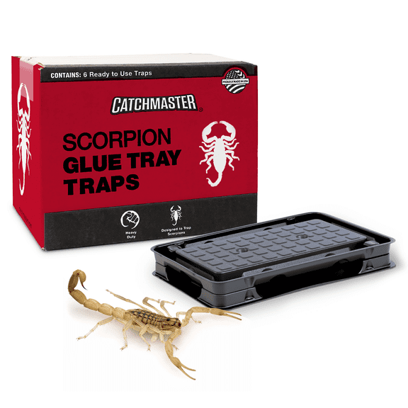 Catchmaster Scorpion Glue Traps 6-Pack, Insect Traps Indoor for Kitchen, Garage & Basement