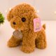 thumbnail image 1 of Juguete de peluche de perro Ted creativo de 20cm, muñeco bonito y suave, regalo de cumpleaños para chico zhangmengya LED, 1 of 2