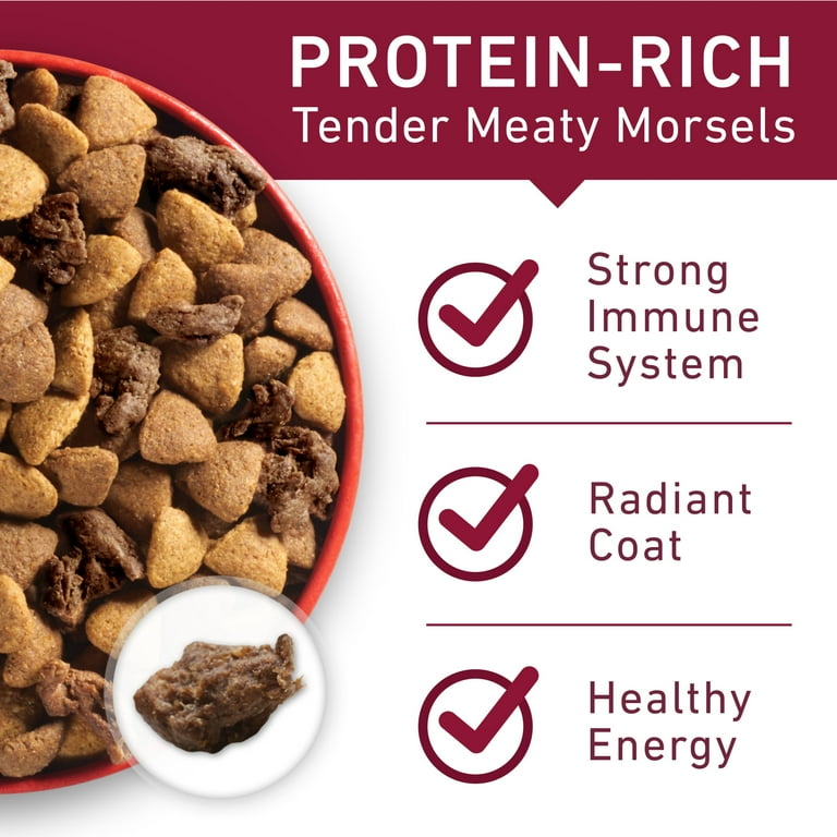 Walmart purina best sale one small bites