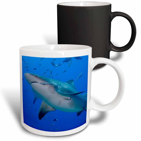 3drose, Fiji. Close-up of Bull Sharks., 11oz Magic Transforming Mug