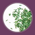thumbnail image 3 of Pennington Rebels Fescue Shady Lawn Grass Seed 20 Pound, 2 Pack, 3 of 11