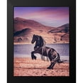 thumbnail image 2 of PHBurchett 12x14 Black Modern Framed Museum Art Print Titled - Sunlit Horses II, 2 of 5