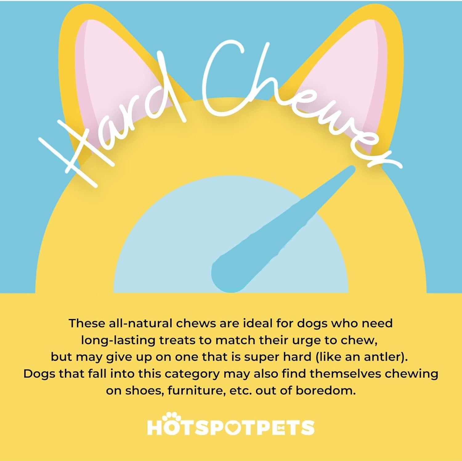 HotSpot Pets All Natural Bully Sticks 6 Inch - 10 Pack - 100% Beef Chew Dog Treat for Large Dogs