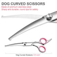 thumbnail image 3 of Kit de tijeras para el cuidado de mascotas FAIGEO Thinning Curved con peine, 3 of 8