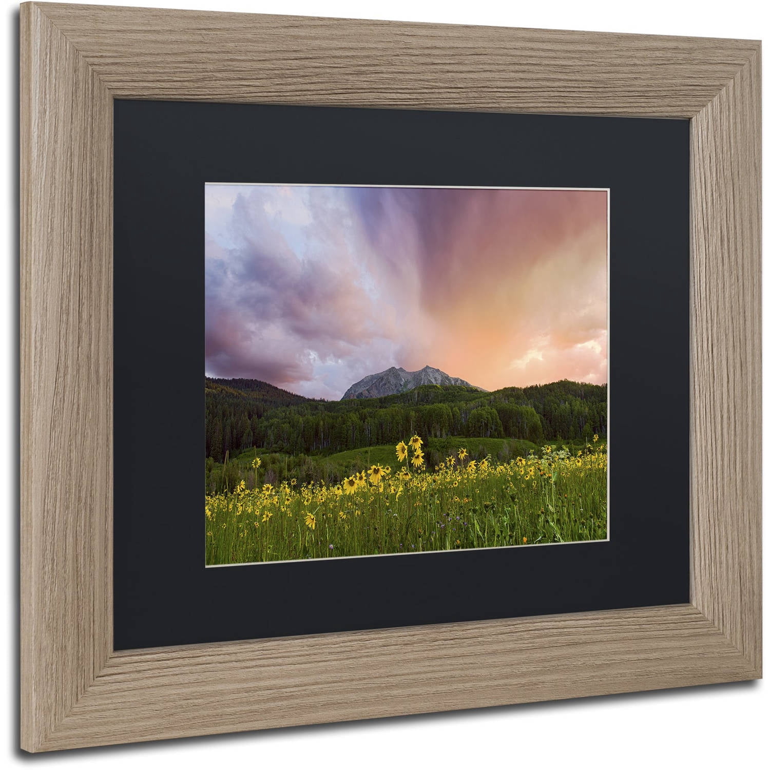 Trademark Fine Art "The Rain Cometh" Canvas Art by Michael Blanchette Photography Black Matte, Birch Frame