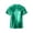 Green, variant on Hansber Kids Girls Shiny Metallic Crop Tops Dancewear Short Sleeves Dancing Shirts for Hip Hop Modern Jazz Gold 110