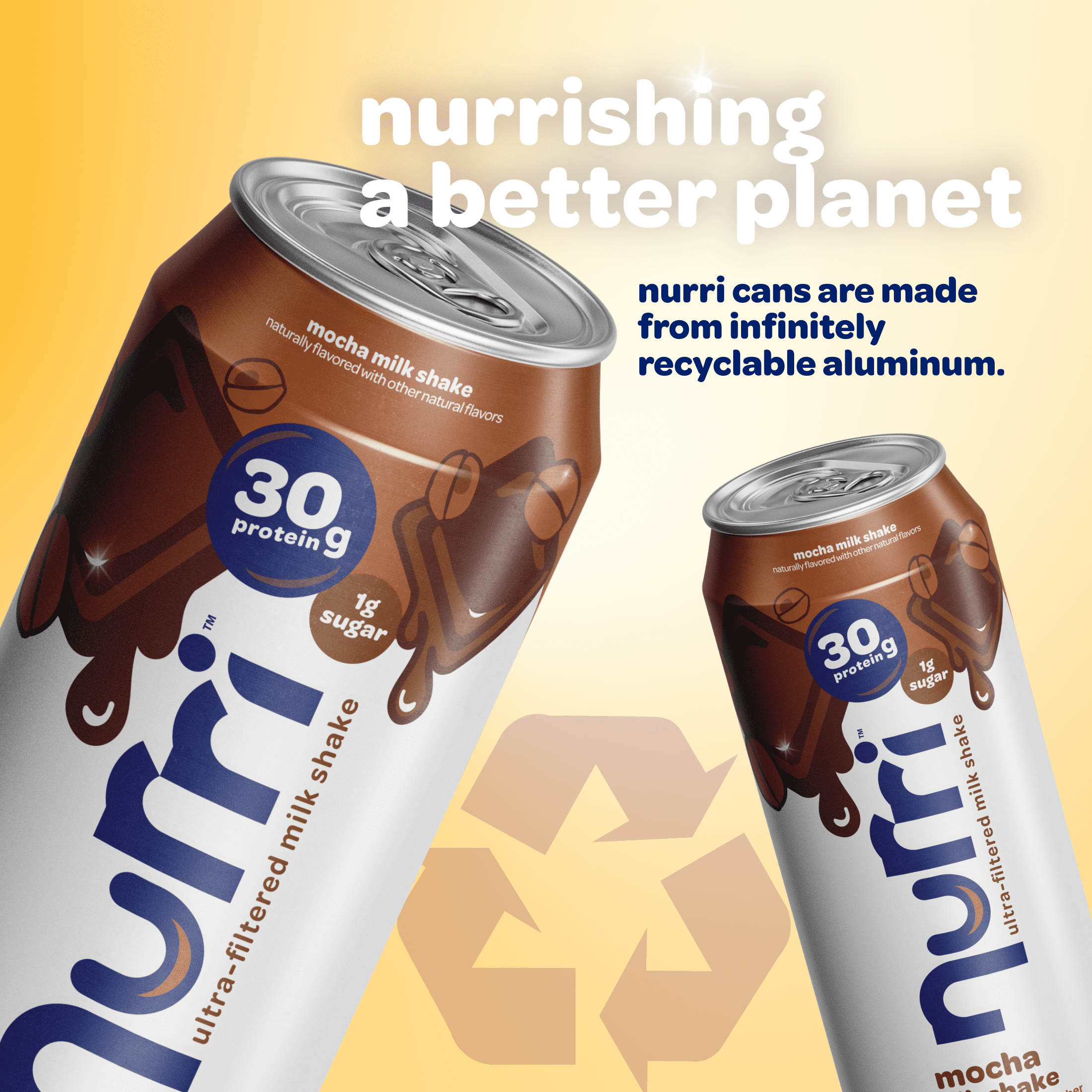 Nurri Ultra-Filtered Milkshake, 30g of Protein, Mocha, 11 fl oz Can
