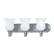 Nuvo Lighting  Glenwood Energy Star Brushed Nickel 3-Light Vanity Fixture