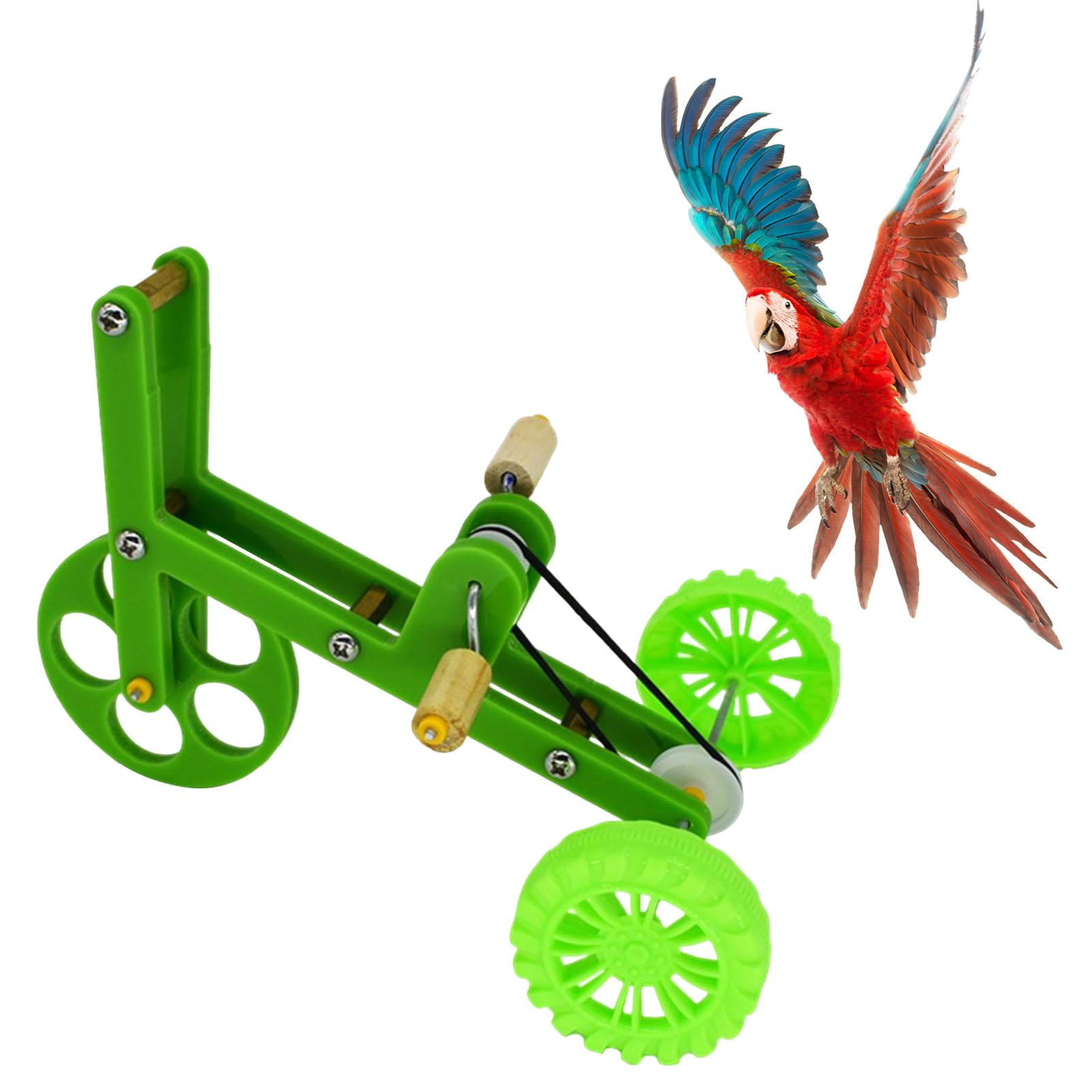 Green Parrot Bike Toy Bird Training Interactive Props Puzzle Toy