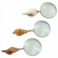 thumbnail image 2 of Enthralling Brass Shell Magnify 3 Assorted, 2 of 2