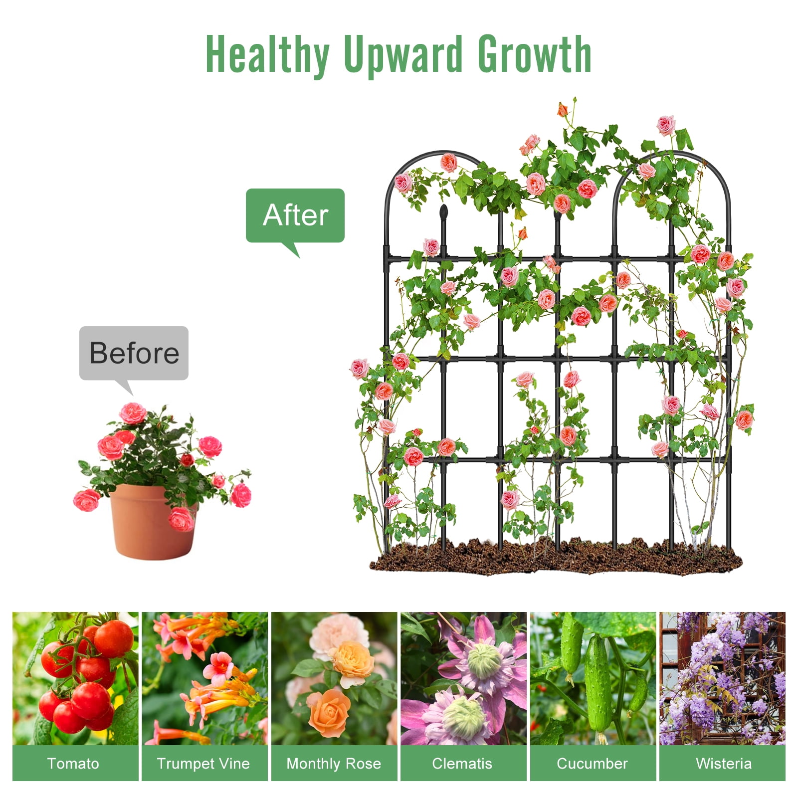 MQ Garden Trellis for Climbing Plants Outdoor 4FT, PE Metal Arch Stand with Flower Twisting Tech Trellis, Plant Support Stakes Fence for Yard Landscaping Climbing Rose Cucumber Monstera Bean Clematis