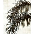 thumbnail image 2 of Carpentieri, Natalie 15x18 White Modern Wood Framed Museum Art Print Titled - Palm II, 2 of 4