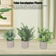 thumbnail image 3 of Plantas De Eucalipto En Macetas Falsas, Plantas En Macetas Artificiales Sin Riego Hermoso Decorativo 3 Paquete Para Escritorio, 3 of 7