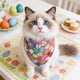 thumbnail image 1 of Pañuelo triangular de poliéster con forma de huevo de Pascua para mascotas, babero festivo para gatos y perros, ideal como accesorio fotográfico y decoración para fiestas de Pascua., 1 of 6