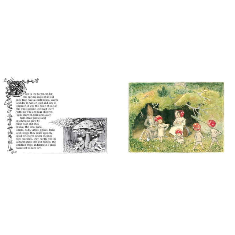 Elsa Beskow, Gift Collection, Children of the Forest, Paperback