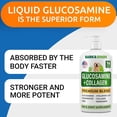 thumbnail image 3 of Liquid Glucosamine for Dogs - Hip & Joint Support with Chondroitin, MSM & Collagen - Easy-Serve Joint Pain Relief Supplement (16 fl oz), 3 of 8