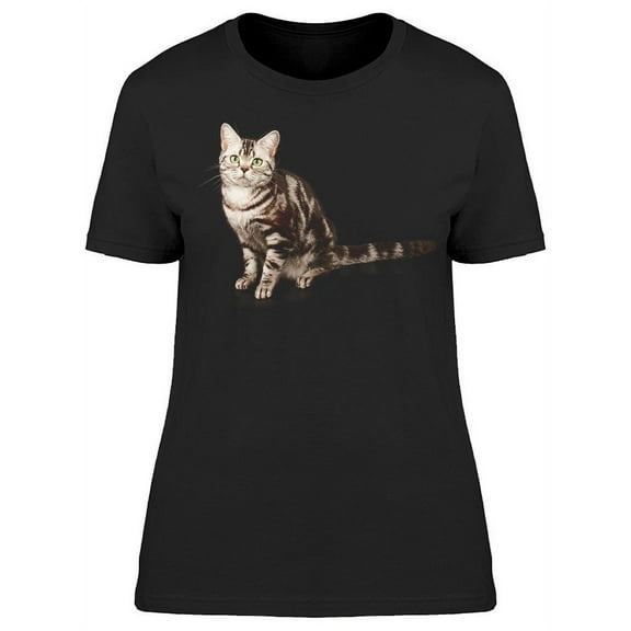 Shorthair Cat, Is Sitting T-Shirt Women -Image by Shutterstock, Female XX-Large