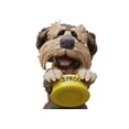 thumbnail image 4 of Figura de acción Boss Fight Studio Fraggle Rock Sprocket 1:12, 4 of 8