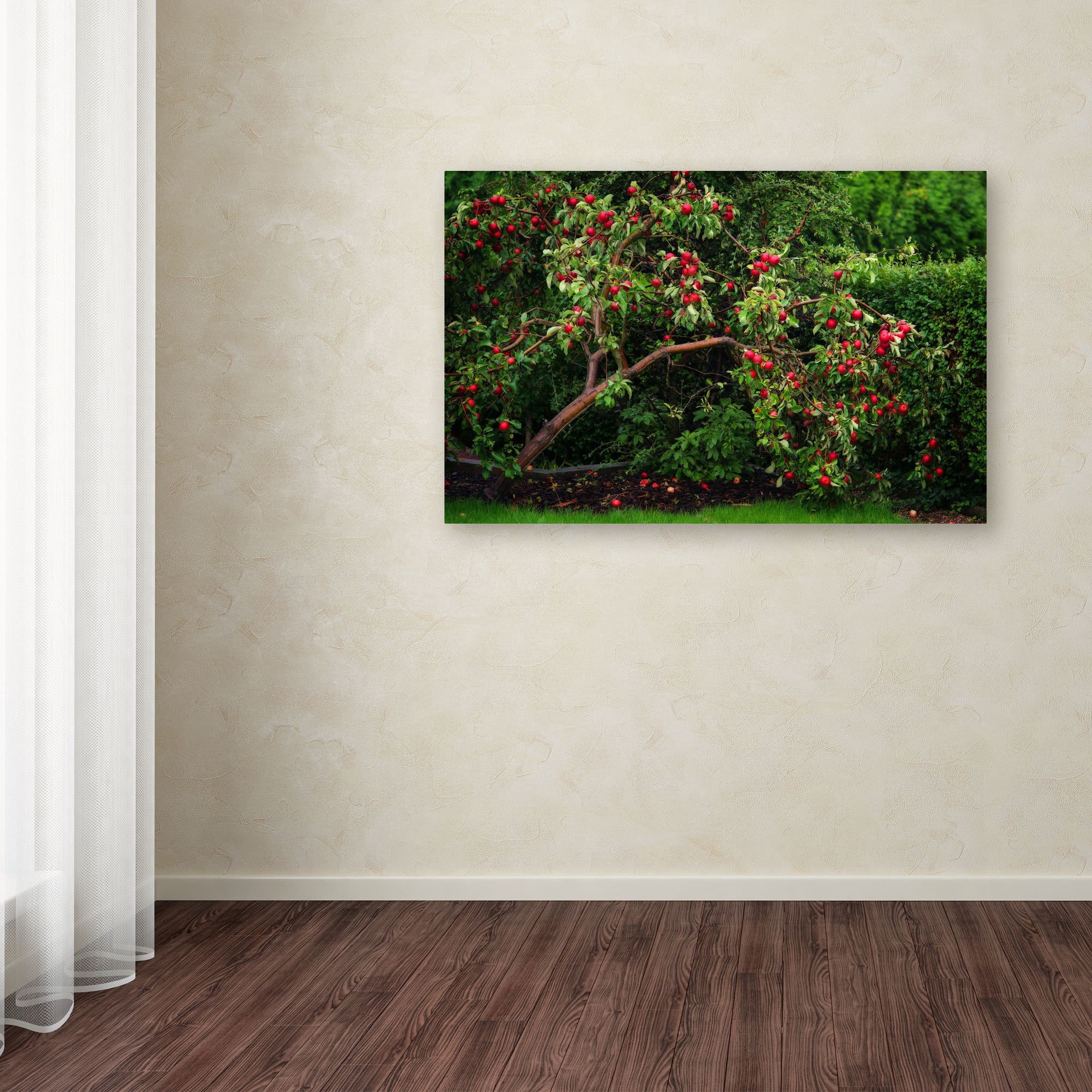 Trademark Fine Art "The Apple Tree" Canvas Art by Philippe Sainte-Laudy