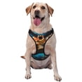 thumbnail image 1 of Honeii Colorful Flower Sea Turtle for Dog Harness,A Three-Buckle Adjustable Dog Vest, Medium-Sized Dogs-X-Large, 1 of 6