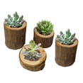 thumbnail image 2 of Wosthever Paquete de 4 artesanías de madera adornos de madera natural con corteza macetas suculentas portalápices casa sala de estar estudio Decoración del hogar, 2 of 6