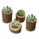 thumbnail image 2 of Naiovety Paquete de 4 artesanías de madera, adornos de Natural, jardineras suculentas, juegos de soporte creativo para almacenamiento, Decoración del hogar Naiovety HA012179-00, 2 of 6