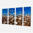 thumbnail image 2 of Blooming Alabama Cotton Field - Large Landscape Canvas Art, 2 of 3