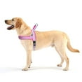 thumbnail image 5 of Didog Outdoor Flannel Padded Dog Vest Harness Quick Fit Reflective Easy for Walking Training(Pink,m), 5 of 11