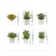 thumbnail image 4 of Plantas Suculentas  Lab.G Artificiales Macetas Decorativas Bonsai 6 pzs, 4 of 5
