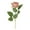 Coffee, variant on Decorative Simulation Rose DIY No Withering Fresh-keeping Floral Arrangement Rose Fake Flower Wedding Decor